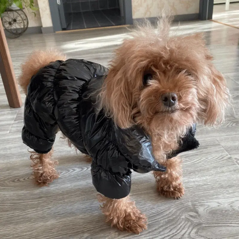 Pet Dog Down Jacket Waterproof Winter Cold-proof Puppy Coat Vest Clothes French Bulldog Pet Jacket Clothes For Small Medium Dogs
Pet Dog Down Jacket Waterproof Winter Cold-proof Puppy Coat Vest Clothes French Bulldog Pet Jacket Clothes For Small Medium Dogs