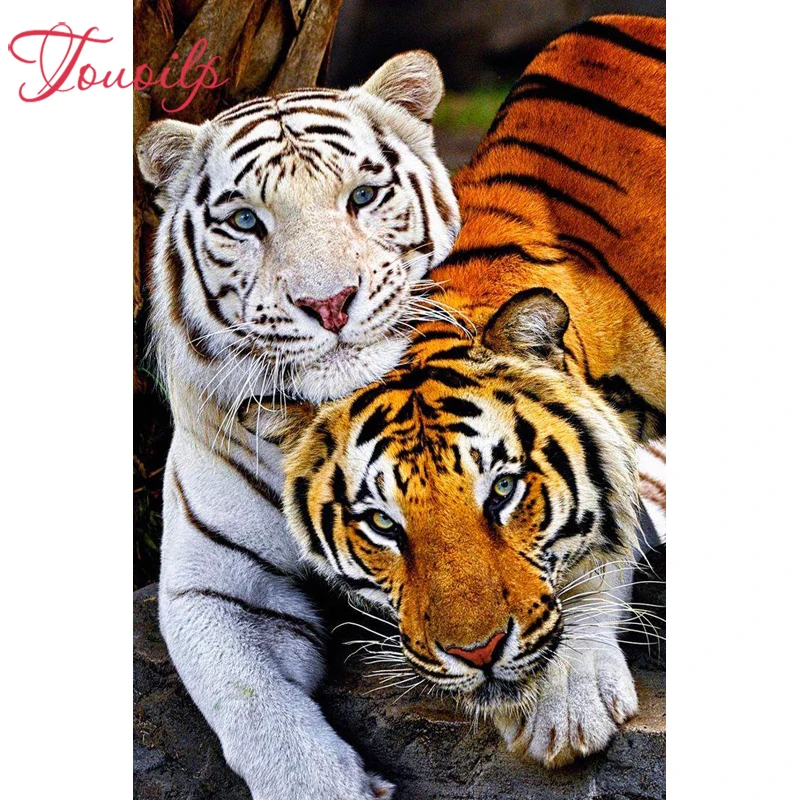TOUOILP 5D DIY пара тигров Два тигра полная квадратная и круглая алмазная живопись