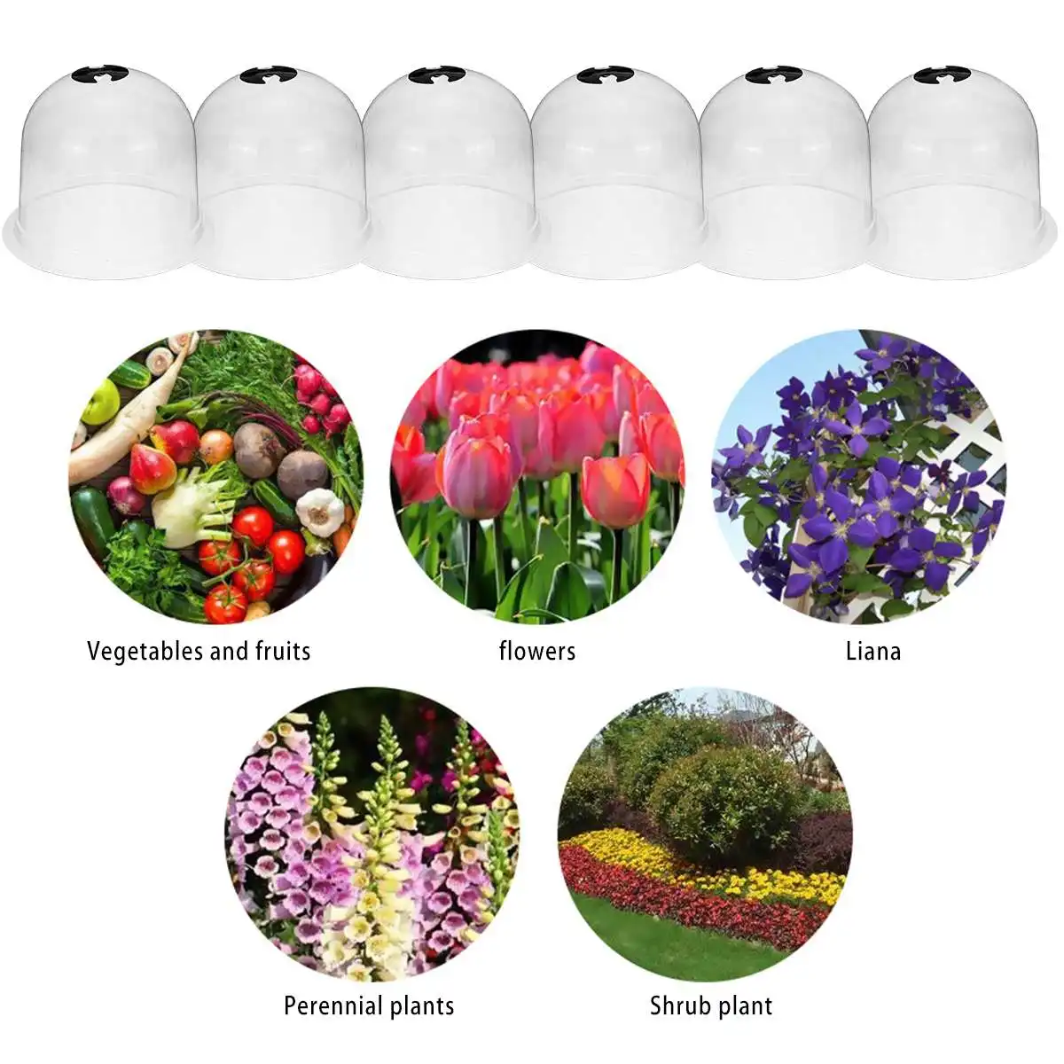 12/6pcs 10" Reusable Plastic Greenhouse Garden Cloche Dome Plant Covers Frost Guard Freeze Protection
12/6pcs 10" Reusable Plastic Greenhouse Garden Cloche Dome Plant Covers Frost Guard Freeze Protection