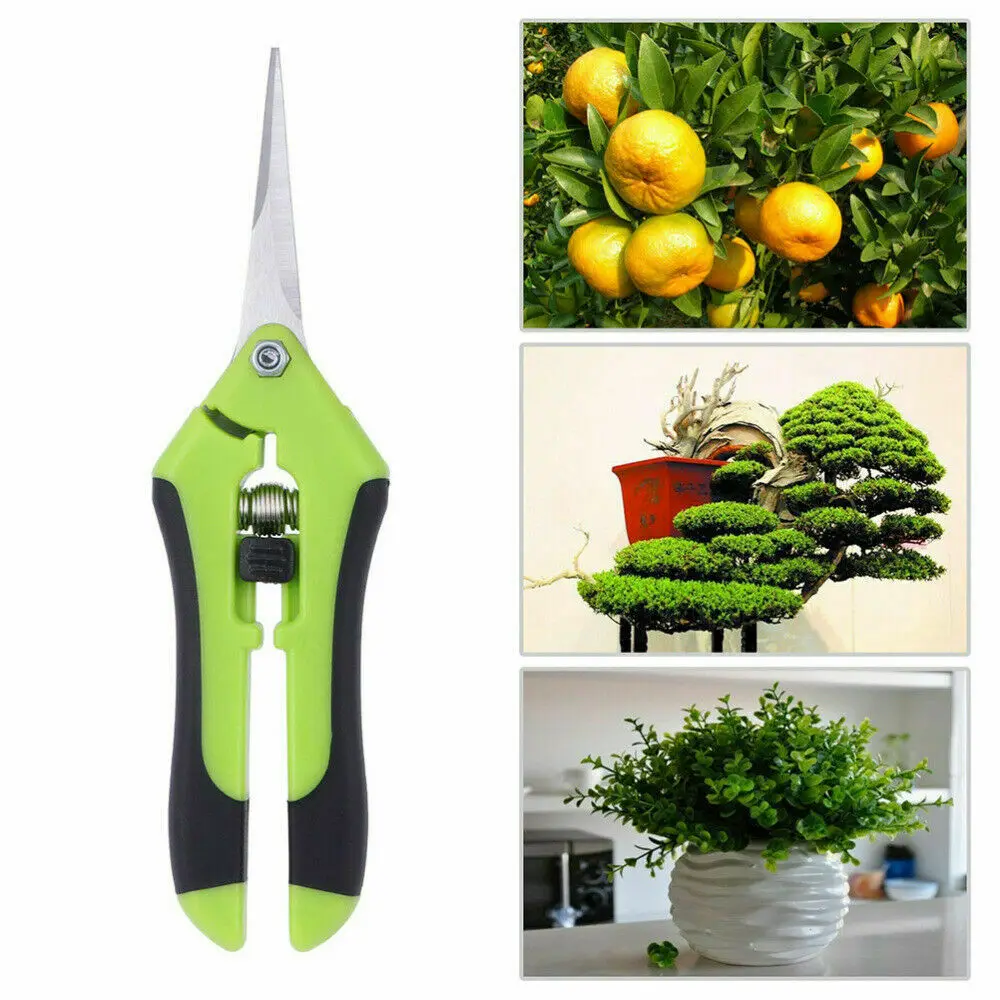 Gardening Scissors Stainless Steel Garden Pruning Shears Plants Trimming Harvest Garden Pruners Tools Bonsai Scissors
Gardening Scissors Stainless Steel Garden Pruning Shears Plants Trimming Harvest Garden Pruners Tools Bonsai Scissors