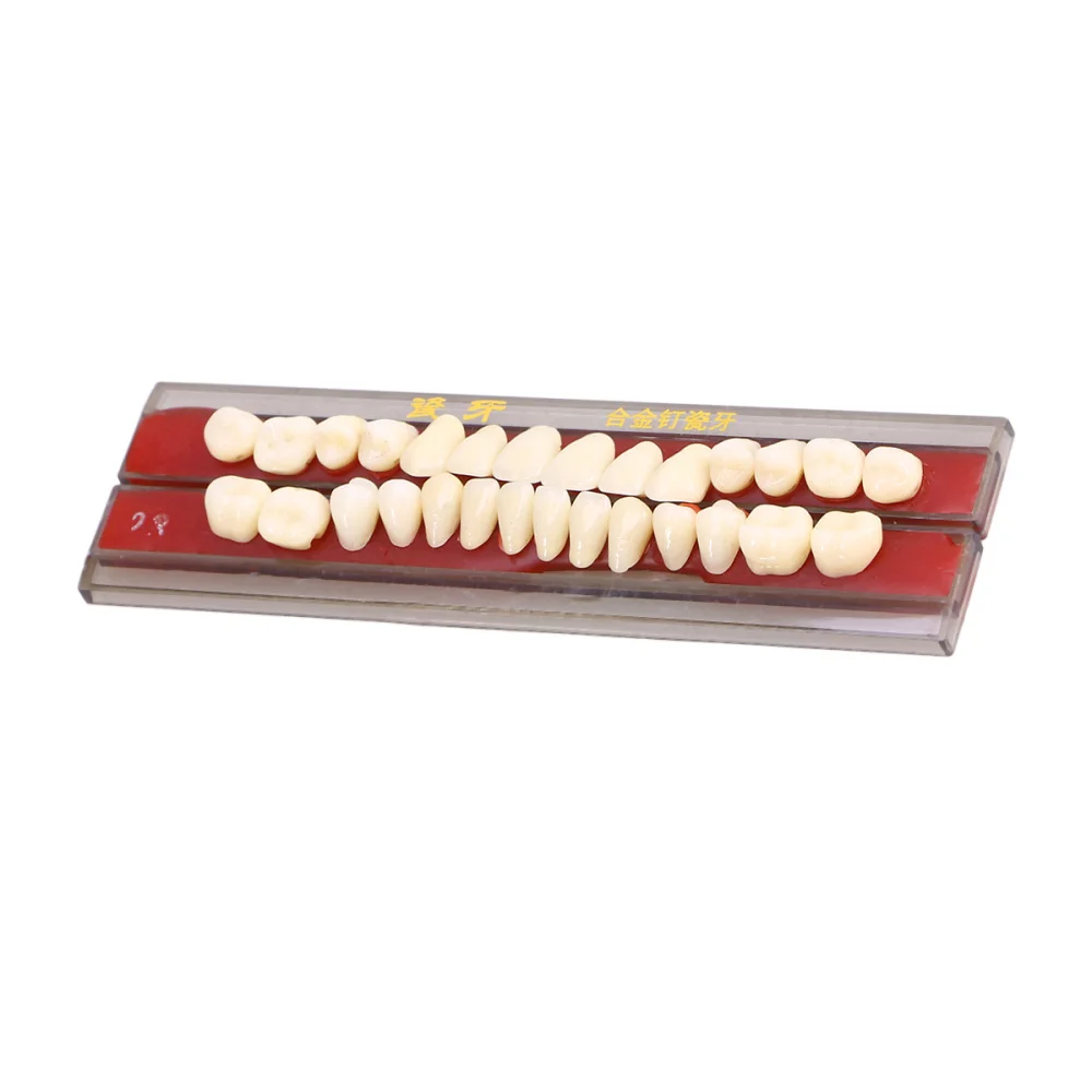 1 Box Porcelain Tooth Oral Material Color Shade Guide Teeth Accessories (Second Grade 22#)
1 Box Porcelain Tooth Oral Material Color Shade Guide Teeth Accessories (Second Grade 22#)