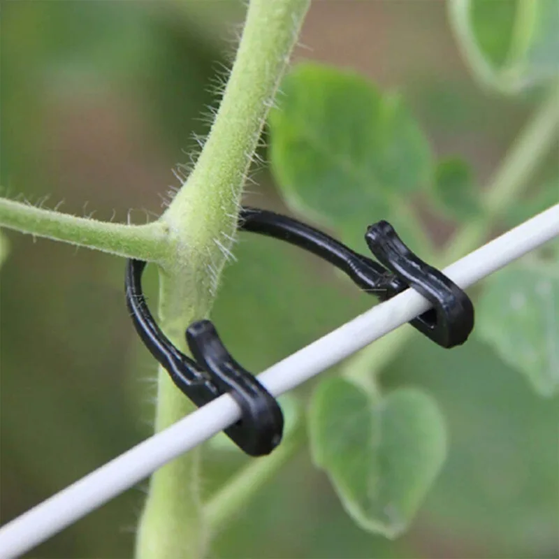 50/100pcs Plastic Plant Fixing Clips Tomato Support Clips Grape Rack Mesh Fasteners Gardening Agricultural Bundling Line Cages
50/100pcs Plastic Plant Fixing Clips Tomato Support Clips Grape Rack Mesh Fasteners Gardening Agricultural Bundling Line Cages