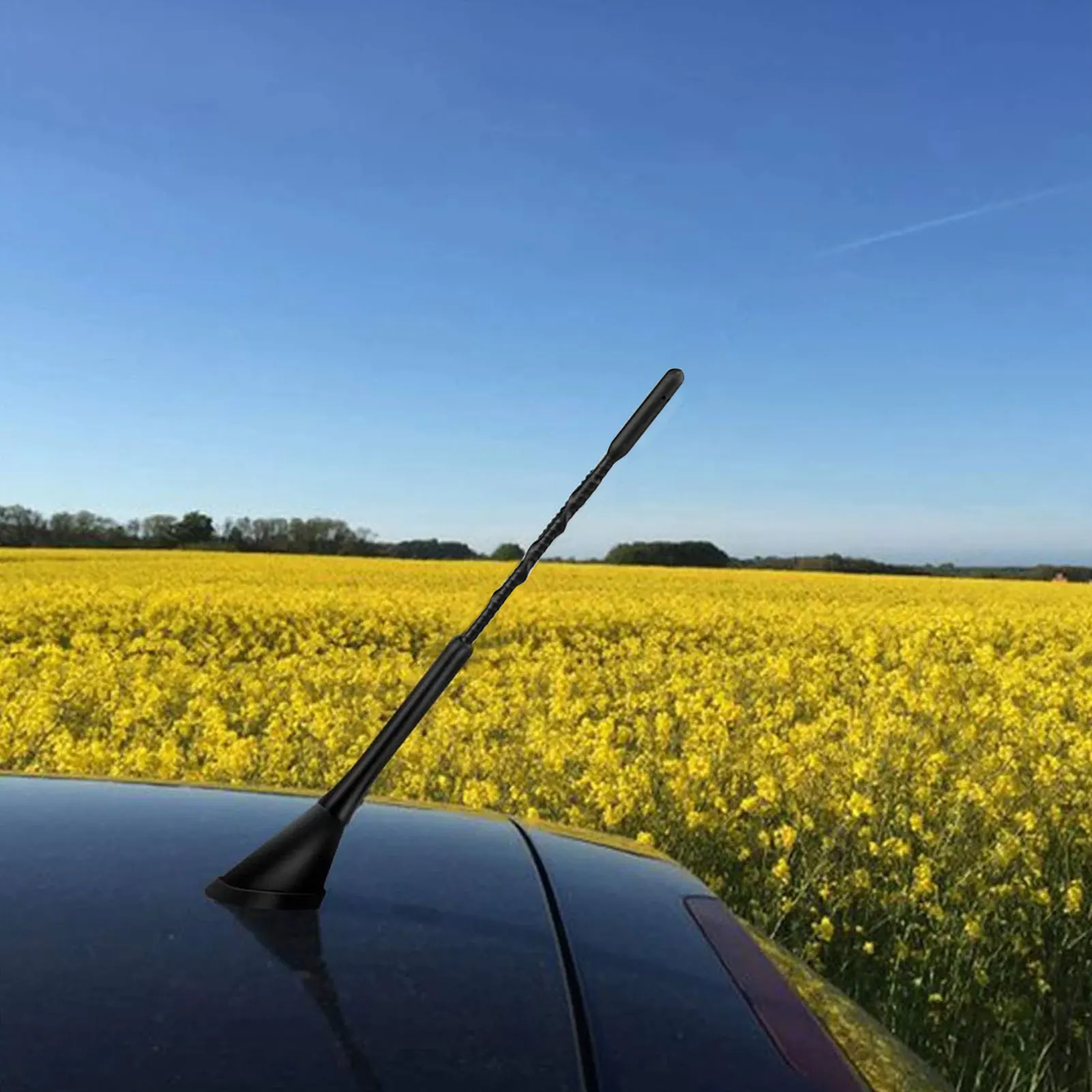 Car Antenna Radio Amplified Splitterfor DAB + FM Radio Antenna Car Roof Mast Whip Radio FM/AM Signal Amplified Car Antenna
Car Antenna Radio Amplified Splitterfor DAB + FM Radio Antenna Car Roof Mast Whip Radio FM/AM Signal Amplified Car Antenna