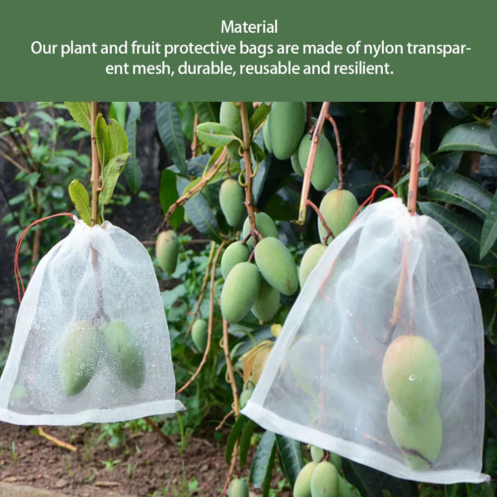 100pcs/pack Netting Drawstring Anti Insect Reusable Fruit Mesh Bag Gardening Tool Pest Control Agriculture Plants Protection
100pcs/pack Netting Drawstring Anti Insect Reusable Fruit Mesh Bag Gardening Tool Pest Control Agriculture Plants Protection