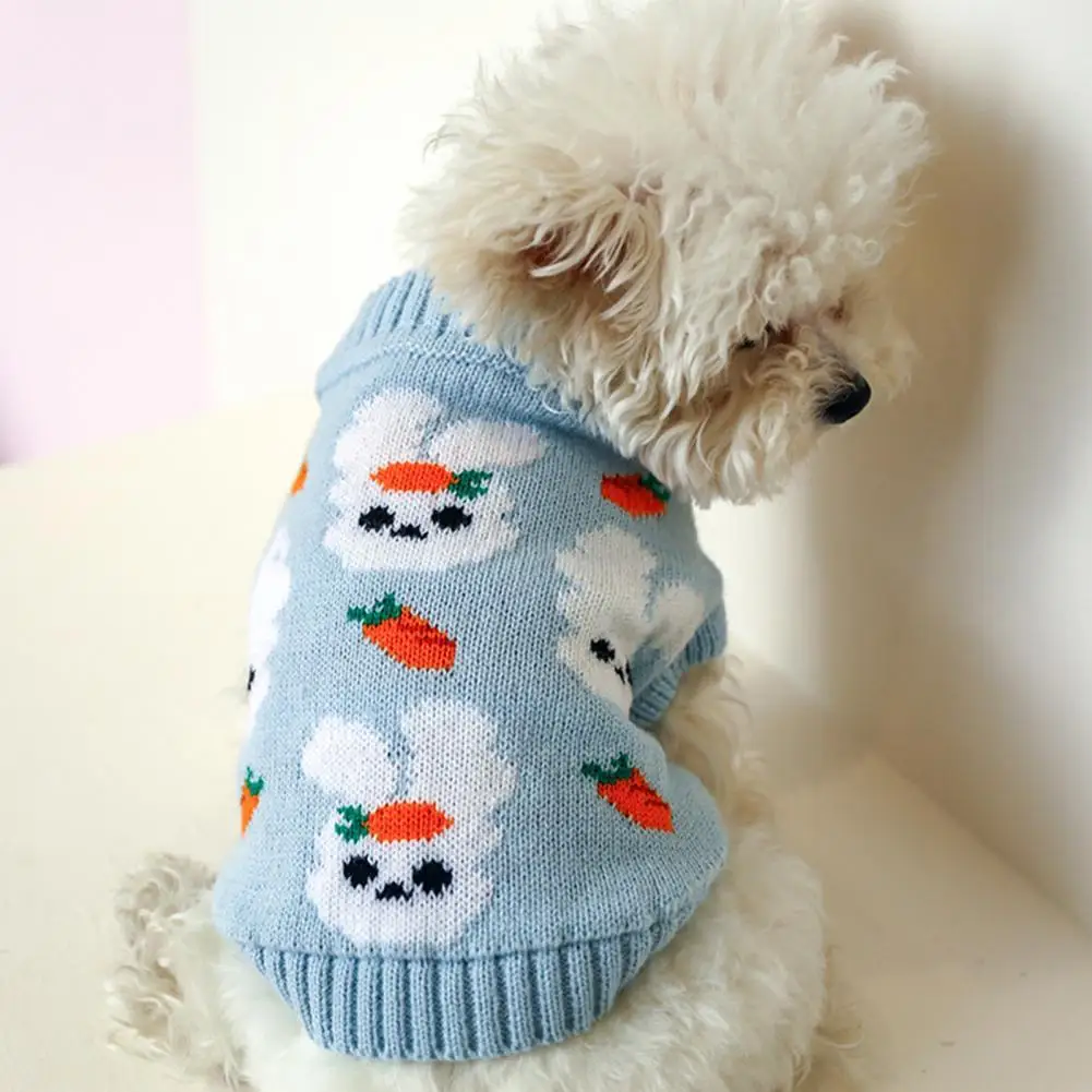 Unisex Cozy Warm Dog Two-legged Sweater Fashion Puppy Knitwear Round Neck for Party
Unisex Cozy Warm Dog Two-legged Sweater Fashion Puppy Knitwear Round Neck for Party