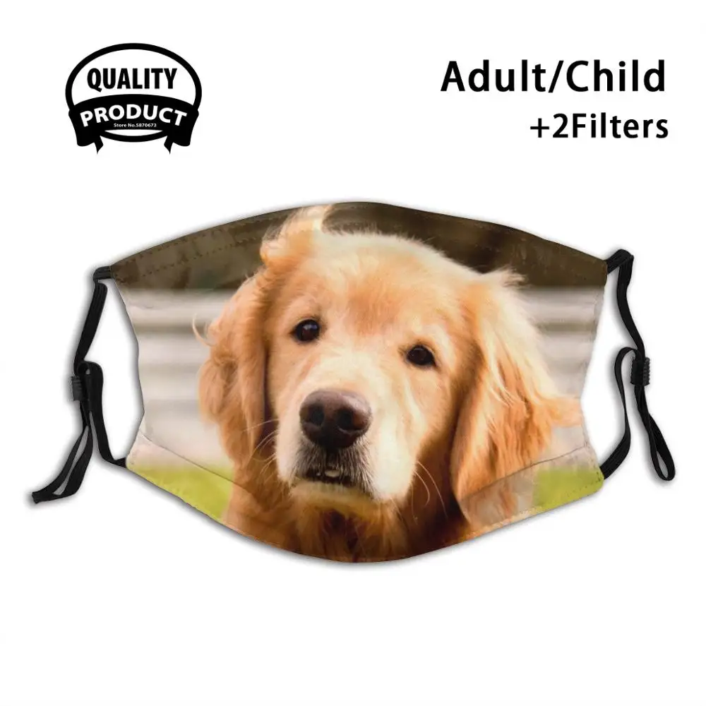 Seaver The Retreiver Fashion Trendy Masks Golden Retriever Dog Golden Retriever Puppy Animal Pet Pets Animals Mans Best Friend
Seaver The Retreiver Fashion Trendy Masks Golden Retriever Dog Golden Retriever Puppy Animal Pet Pets Animals Mans Best Friend