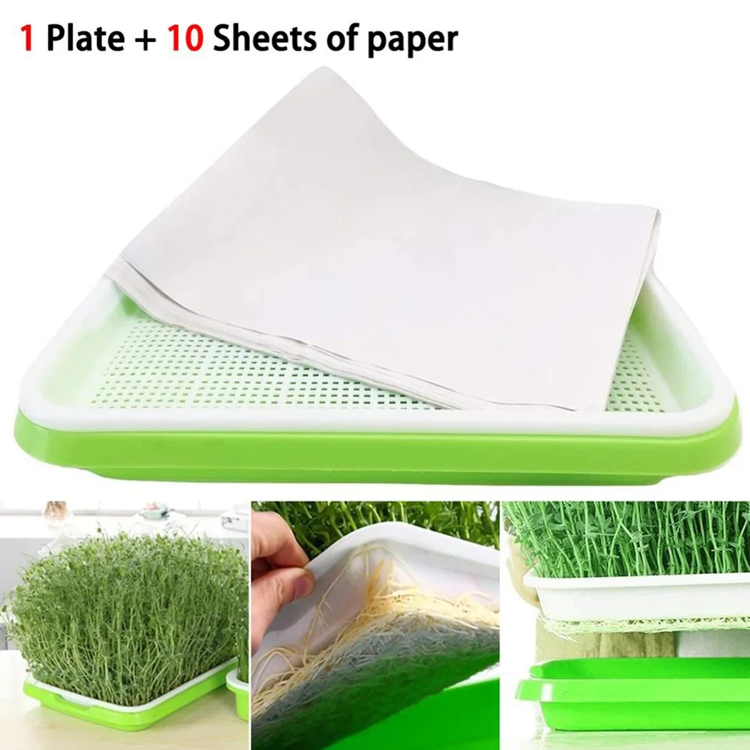 Seed Sprouter Tray Nursery Trays Large Capacity Healthy Wheatgrass Growe with 10PCS Paper Seedling Sprout Plate Hydroponic
Seed Sprouter Tray Nursery Trays Large Capacity Healthy Wheatgrass Growe with 10PCS Paper Seedling Sprout Plate Hydroponic