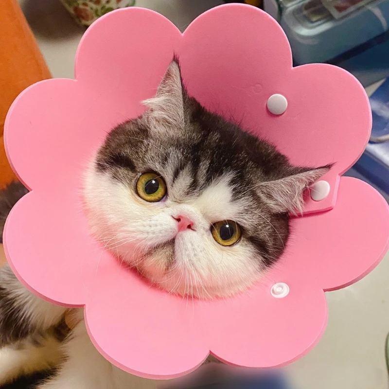 Cat Cone Collar Elizabethan Surgery Recovery Protective Circle for Small Dog Pet Anti-Lick Neck Medical Wound Healing Nail Trim
Cat Cone Collar Elizabethan Surgery Recovery Protective Circle for Small Dog Pet Anti-Lick Neck Medical Wound Healing Nail Trim