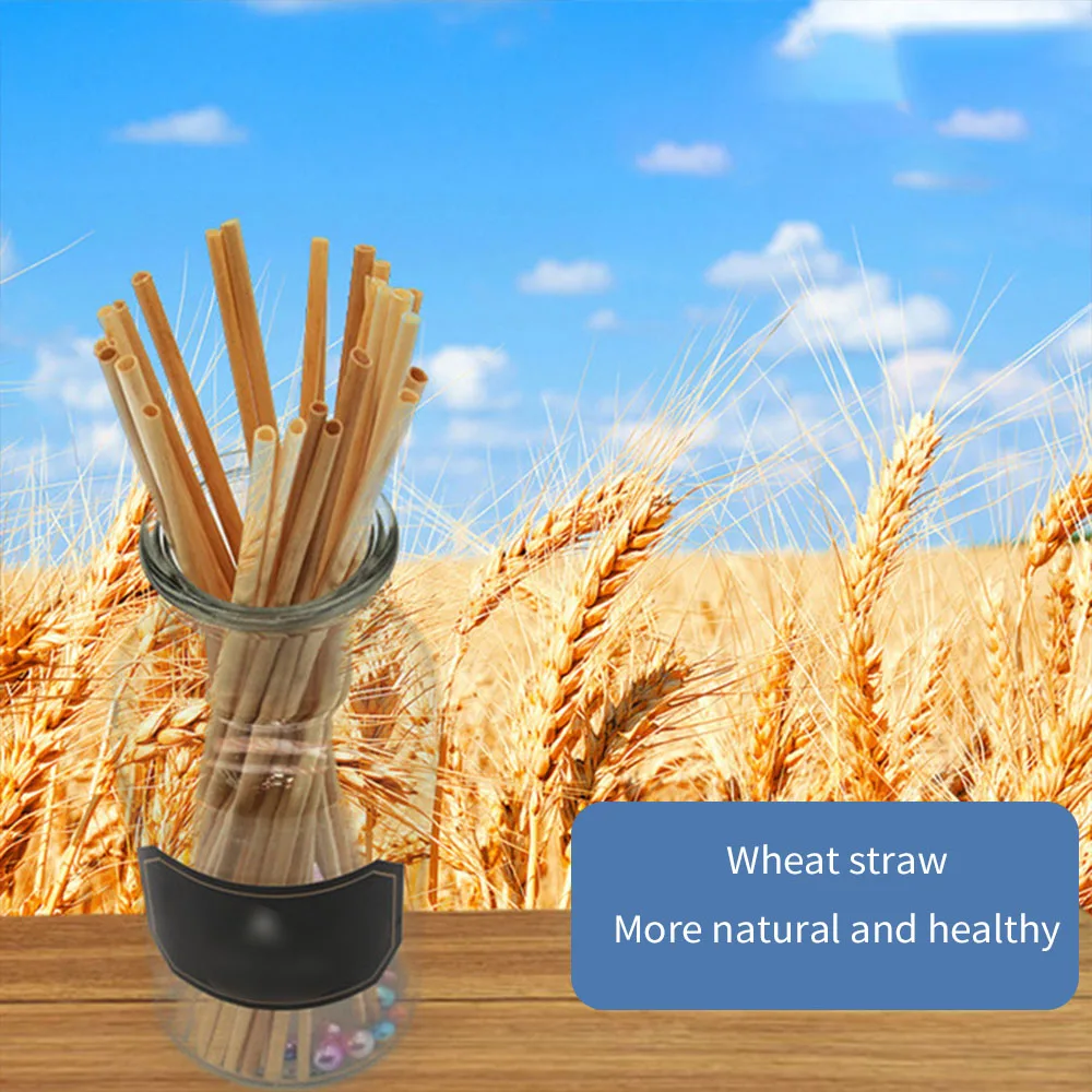 100Pcs Natural Wheat Straw Straws Biodegradable Eco-Friendly Portable Drinking Straw Kitchen Bar Accessories Dropshipping
100Pcs Natural Wheat Straw Straws Biodegradable Eco-Friendly Portable Drinking Straw Kitchen Bar Accessories Dropshipping