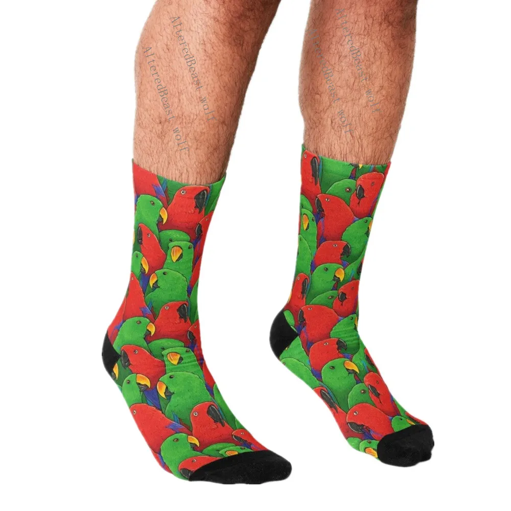 Funny Socks Men harajuku Male and Female Eclectus Parrots Printed Happy hip hop Novelty Skateboard Crew Casual Crazy Socks
Funny Socks Men harajuku Male and Female Eclectus Parrots Printed Happy hip hop Novelty Skateboard Crew Casual Crazy Socks