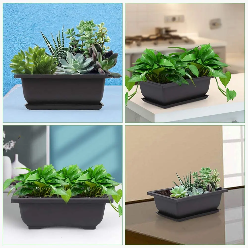 10 Packs Bonsai Training Pots with Tray Plastic Bonsai Plants Gg Pot for Garden Yard Living Room Balcony 16.5X12cm
10 Packs Bonsai Training Pots with Tray Plastic Bonsai Plants Gg Pot for Garden Yard Living Room Balcony 16.5X12cm