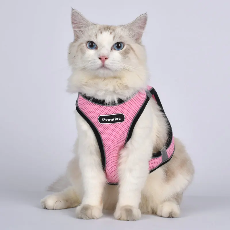 Mesh Cat Harness And Leash Set Breathable Adjustable Pet Vest Harness For Small Dog Cat Walking Harnesses Leads
Mesh Cat Harness And Leash Set Breathable Adjustable Pet Vest Harness For Small Dog Cat Walking Harnesses Leads