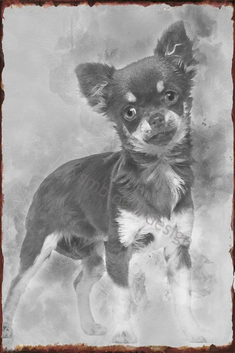 Жестяные пластины Чихуахуа для камеры, Настенный декор, Ретро винтажный металлический знак, жестяной знак для искусства, мужская пещера, ка...
Жестяные пластины Чихуахуа для камеры, Настенный декор, Ретро винтажный металлический знак, жестяной знак для искусства, мужская пещера, ка...