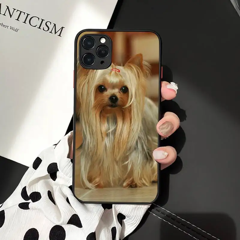 Mini Yorkshire Terrier Phone Case matte transparent For iphone 7 8 11 12 plus mini x xs xr pro max cover
Mini Yorkshire Terrier Phone Case matte transparent For iphone 7 8 11 12 plus mini x xs xr pro max cover