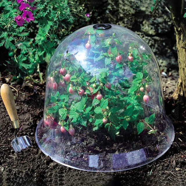 Plastic Breathable Planting Protective Cover Set /6*Plant Cover/18*Supports/10*Tag for Nursery Maintenance Tool LAD3
Plastic Breathable Planting Protective Cover Set /6*Plant Cover/18*Supports/10*Tag for Nursery Maintenance Tool LAD3
