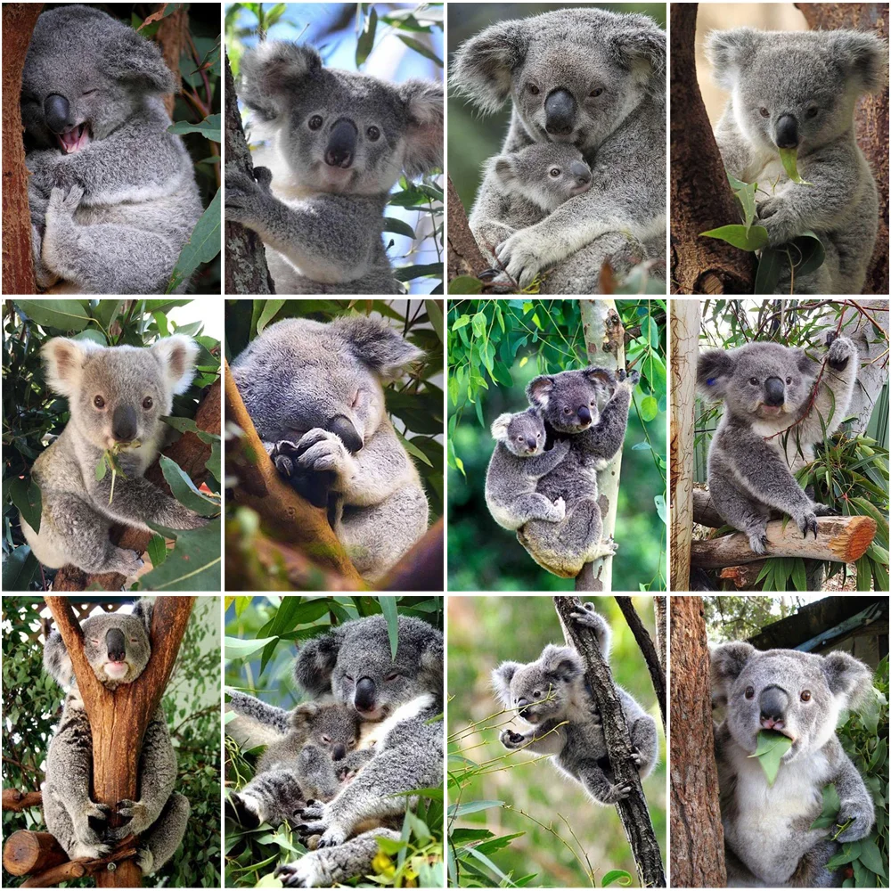 Animal Home Decor Koala Diamond Painting Personalized Gift Diy Embroidery Kit Paintings Puzzles Mosaic Needle Arts Craft Crafts
Animal Home Decor Koala Diamond Painting Personalized Gift Diy Embroidery Kit Paintings Puzzles Mosaic Needle Arts Craft Crafts