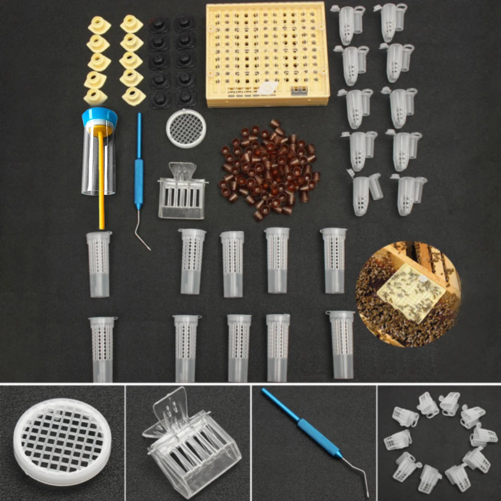 Non-toxic Cultivating Box Cage Queen Rearing Plastic Catcher Supplies Bee Garden Home Lightweight Beekeeping Tool Equipment
Non-toxic Cultivating Box Cage Queen Rearing Plastic Catcher Supplies Bee Garden Home Lightweight Beekeeping Tool Equipment