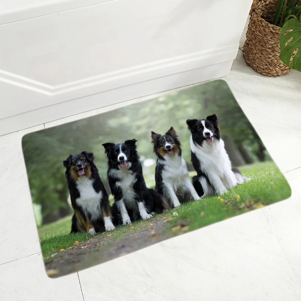 Pet Scotland Border Collie Floor Door Mat Non-Slip Decor Dog Animal Doormat Soft Rug for Hallway Kitchen Room Carpet
Pet Scotland Border Collie Floor Door Mat Non-Slip Decor Dog Animal Doormat Soft Rug for Hallway Kitchen Room Carpet