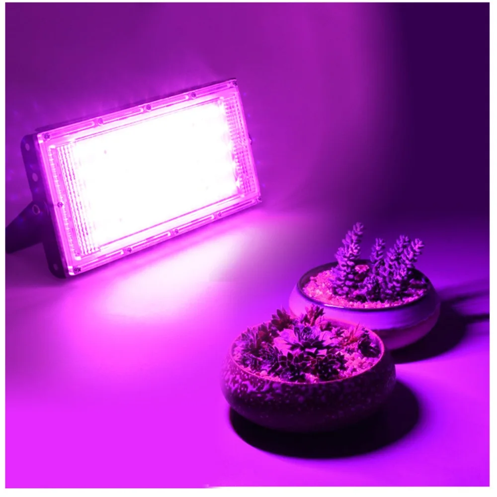 220V 110V LED Grow Light Full Spectrum Phyto Lamp 50W 100W For Indoor Outdoor Greenhouse Hydroponic Plant Growth Lighting
220V 110V LED Grow Light Full Spectrum Phyto Lamp 50W 100W For Indoor Outdoor Greenhouse Hydroponic Plant Growth Lighting