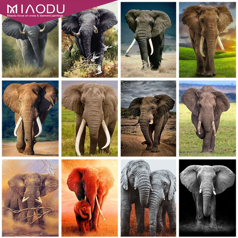 Miaodu 5D DIY Diamond Painting Elephant Full Round Drill Needlework Diamond Embroidery Animal Handicraft Handmade Gift
Miaodu 5D DIY Diamond Painting Elephant Full Round Drill Needlework Diamond Embroidery Animal Handicraft Handmade Gift