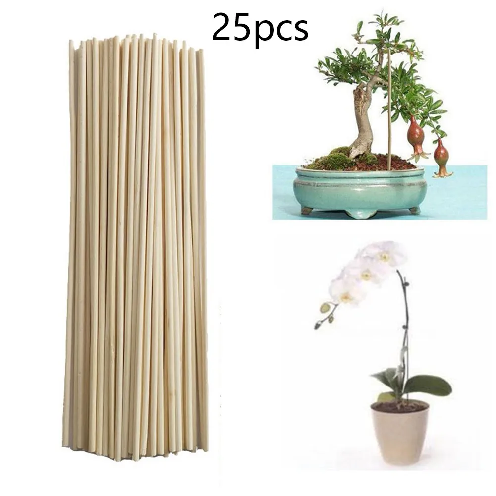 25pcs Bamboo Sticks Trellis Stakes Kit For Garden Plants Support Tomatoes Peas Plant Growth Support Rod Bamboo Chop Sticks
25pcs Bamboo Sticks Trellis Stakes Kit For Garden Plants Support Tomatoes Peas Plant Growth Support Rod Bamboo Chop Sticks