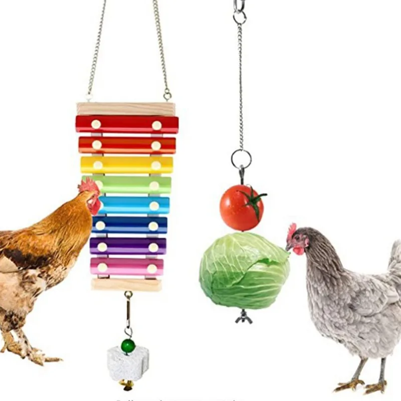 Chicken Xylophone Toy Chicken Veggies Skewer Fruit Holder Chicken Vegetable Hanging Feeder Chicken Toys for Hens New Style
Chicken Xylophone Toy Chicken Veggies Skewer Fruit Holder Chicken Vegetable Hanging Feeder Chicken Toys for Hens New Style