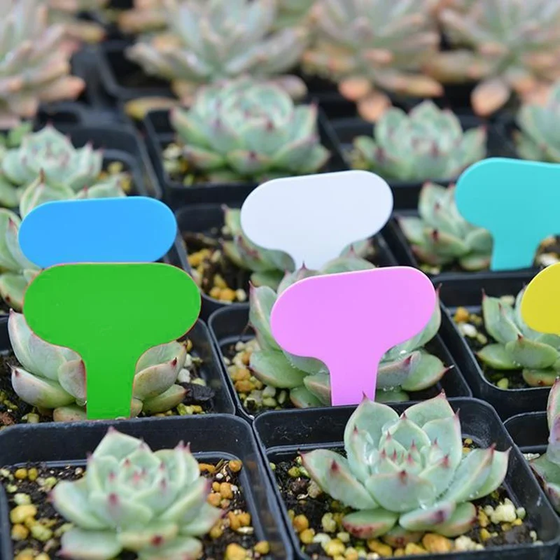 100PCS Plant Tags T Type Plant Markers Colorful Waterproof Label Nursery Garden Labels for Plant Pot Vegetable Seedling Tray
100PCS Plant Tags T Type Plant Markers Colorful Waterproof Label Nursery Garden Labels for Plant Pot Vegetable Seedling Tray