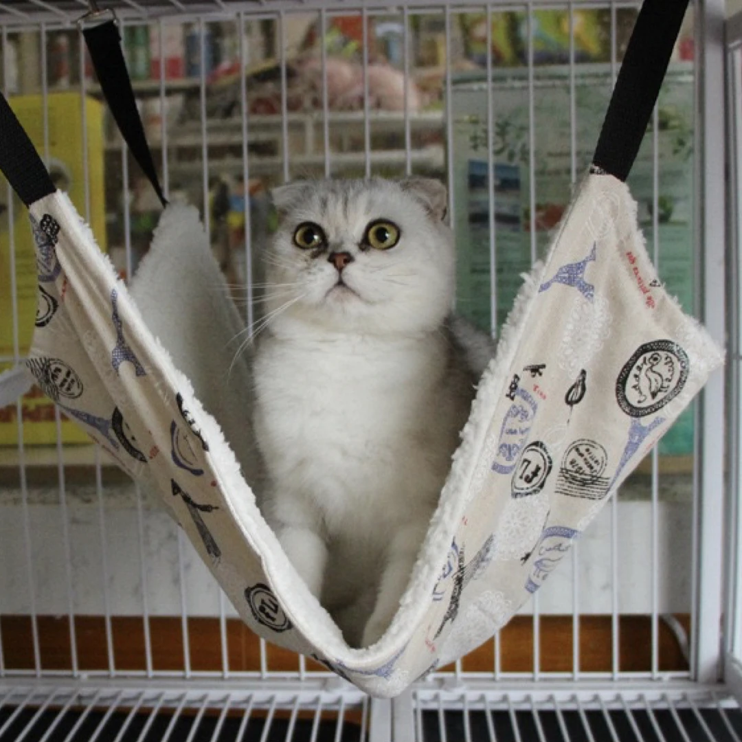 Cat Hanging Bed Cotton Cat hammock Pet Beds for Cats Rodents Hammock Double Hanging Guinea pig Bed Squirrel Cat Products
Cat Hanging Bed Cotton Cat hammock Pet Beds for Cats Rodents Hammock Double Hanging Guinea pig Bed Squirrel Cat Products