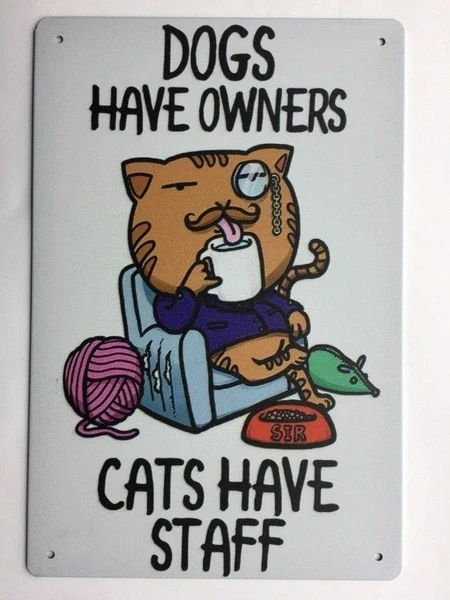 Tactics Funny Satire Metal Tin Sign Wall Decoration Picture Dog Owner Cat Employee
Tactics Funny Satire Metal Tin Sign Wall Decoration Picture Dog Owner Cat Employee