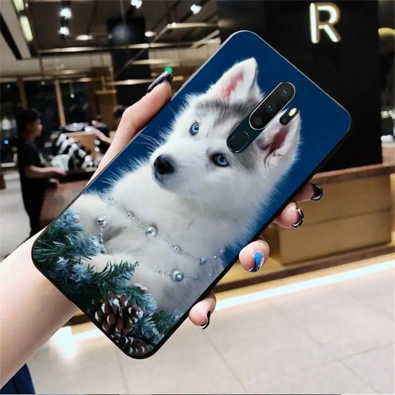 Animal Dog Husky Soft Phone Case Capa For Oppo A5 A9 2020 Reno2 z Renoace 3pro Realme5Pro | Мобильные телефоны и