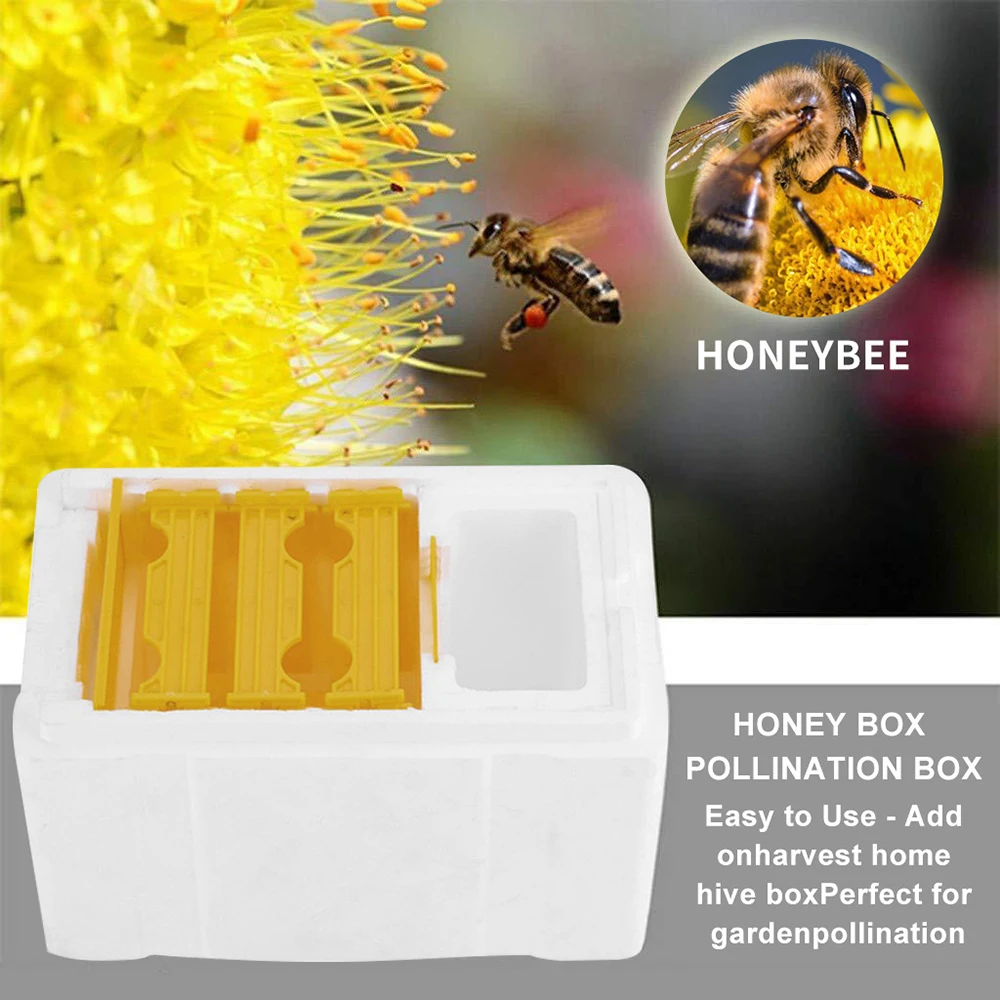 Foam Bee Mating Box with Grid Warmkeeping Waterproof Queen Breeding Case 24.1x15x14.1cm Beekeeping Tools for Pollination F2
Foam Bee Mating Box with Grid Warmkeeping Waterproof Queen Breeding Case 24.1x15x14.1cm Beekeeping Tools for Pollination F2