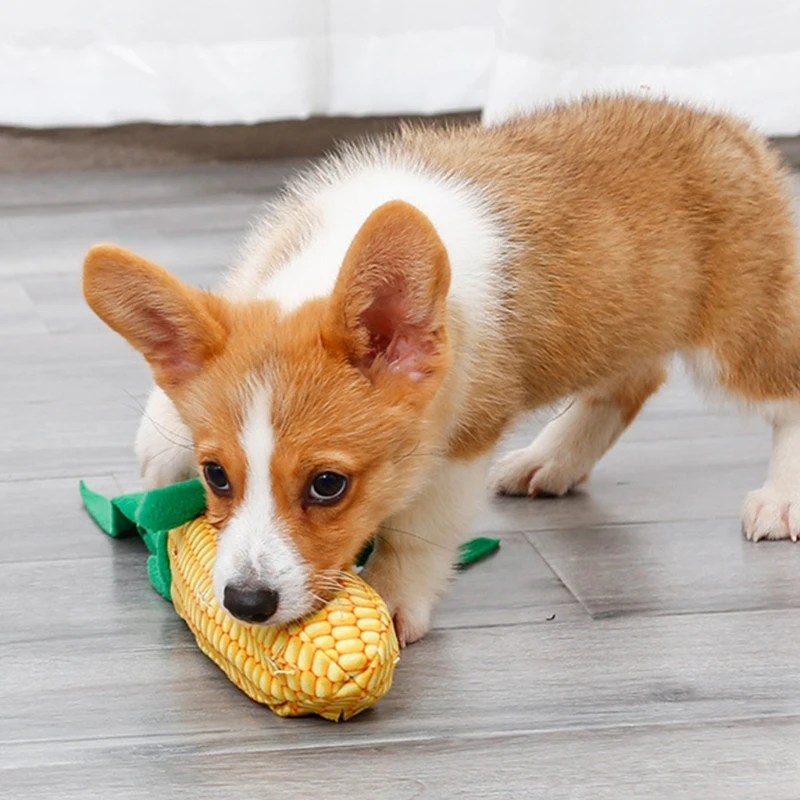 2 in 1 Dog Snuffle Molar Toy Puppy Interactive Sniffing Training Plush Corn Slow Feeding Chewing Grind Teeth Activity
2 in 1 Dog Snuffle Molar Toy Puppy Interactive Sniffing Training Plush Corn Slow Feeding Chewing Grind Teeth Activity