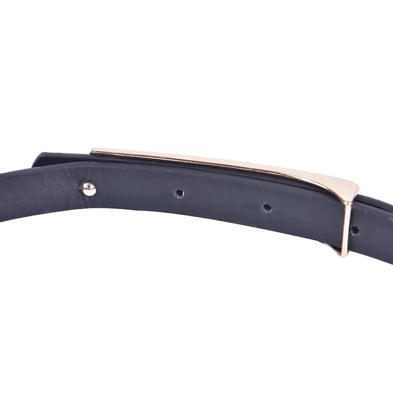 1PCS Classic Wild Female Metal Buckle Thin Belt Minimalist Thin Belt Straps Waistband Cummerbund Apparel Accessories
1PCS Classic Wild Female Metal Buckle Thin Belt Minimalist Thin Belt Straps Waistband Cummerbund Apparel Accessories