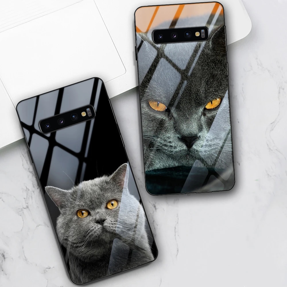 Cute Cat Case For Samsung Galaxy S21 S10 S9 S8 S10e S20 FE Ultra A51 A71 A50 A21S A70 Note 20 10 9 8 Plus Tempered Glass Fundas
Cute Cat Case For Samsung Galaxy S21 S10 S9 S8 S10e S20 FE Ultra A51 A71 A50 A21S A70 Note 20 10 9 8 Plus Tempered Glass Fundas