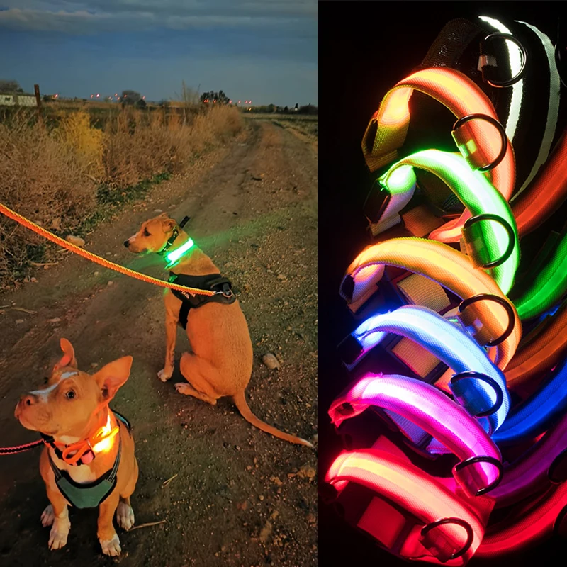 Usb Charging Led Dog Collar Safety Led Luminous Dog Pet Light Up Collar Night Nylon Necklace Glowing Leads for Dogs Night Safety
Usb Charging Led Dog Collar Safety Led Luminous Dog Pet Light Up Collar Night Nylon Necklace Glowing Leads for Dogs Night Safety