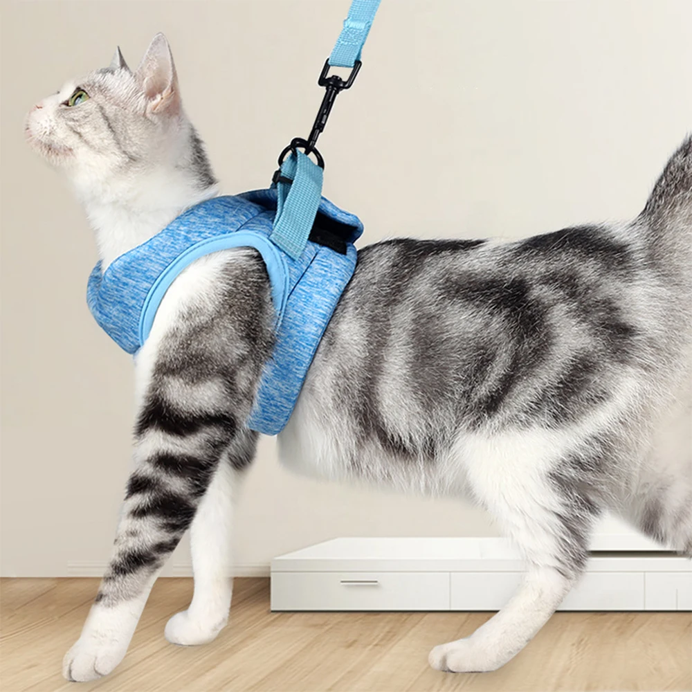 Adjustable Anti-Escape Small Cat Belt Kitten Harness Light Breathable Pet Vest Wiring Harness Traction Belt Kitten Walking
Adjustable Anti-Escape Small Cat Belt Kitten Harness Light Breathable Pet Vest Wiring Harness Traction Belt Kitten Walking
