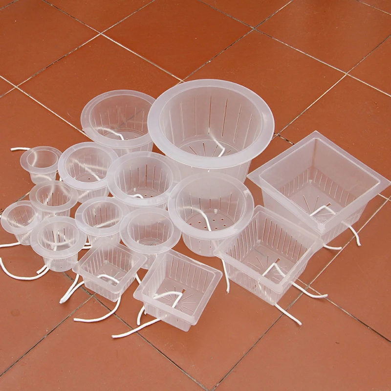 10 шт./лот корзина для посадки разных размеров с абсорбирующей хлопковой веревкой для самостоятельного украшения гидропонных цветов растен...
10 шт./лот корзина для посадки разных размеров с абсорбирующей хлопковой веревкой для самостоятельного украшения гидропонных цветов растен...