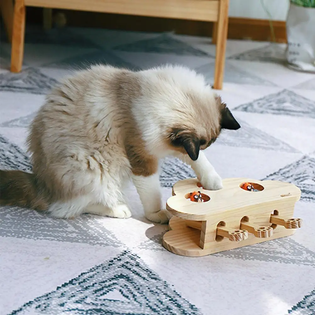 Interactive Pet Kitten Toy Ch Toy Ing Supply Pure Eduional Pet Toys Through Products Wood Toys Exerc L4j4
Interactive Pet Kitten Toy Ch Toy Ing Supply Pure Eduional Pet Toys Through Products Wood Toys Exerc L4j4