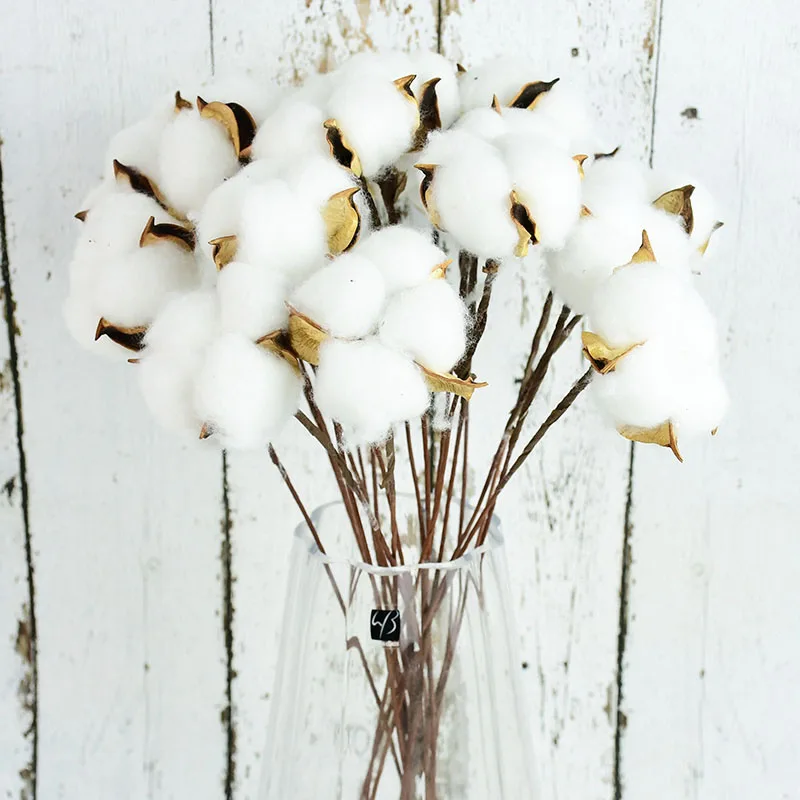 10 Heads Naturally Dried Flowers White Cotton Flowers Artificial Flower Branch Floral for Home Wedding Party Decoration Fall
10 Heads Naturally Dried Flowers White Cotton Flowers Artificial Flower Branch Floral for Home Wedding Party Decoration Fall