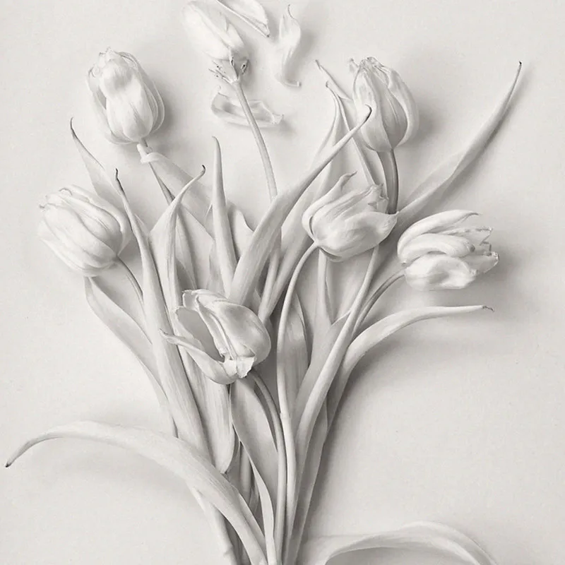 Beautiful Plant Flowers Bedroom Wall Art Minimalist Canvas Modern Decorative Painting Picture Nature Landscape Home Decor
Beautiful Plant Flowers Bedroom Wall Art Minimalist Canvas Modern Decorative Painting Picture Nature Landscape Home Decor
