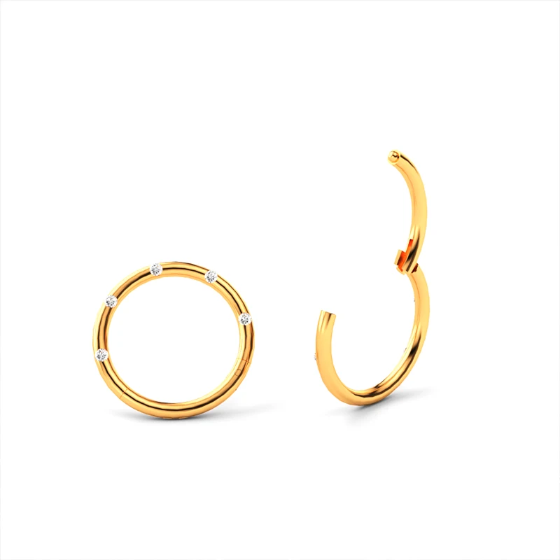 316L Surgical Steel Zircon Hinged Hoop Segment Nose Ring 16G Clip Helix Cartilage Rook Earrings Septum Body Piercing Jewelry
316L Surgical Steel Zircon Hinged Hoop Segment Nose Ring 16G Clip Helix Cartilage Rook Earrings Septum Body Piercing Jewelry