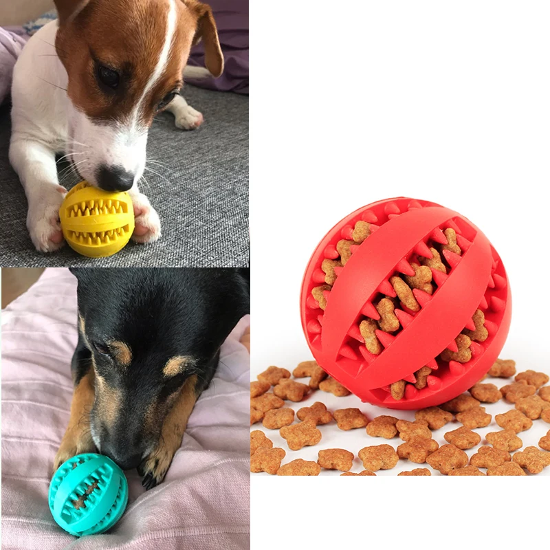 1PCS Non Toxic Rubber Dog Balls Interactive Dog Toys for Small Dogs Tooth Chew Cleaning Toy for Dogs Pet Cat Puppy Accessories
1PCS Non Toxic Rubber Dog Balls Interactive Dog Toys for Small Dogs Tooth Chew Cleaning Toy for Dogs Pet Cat Puppy Accessories