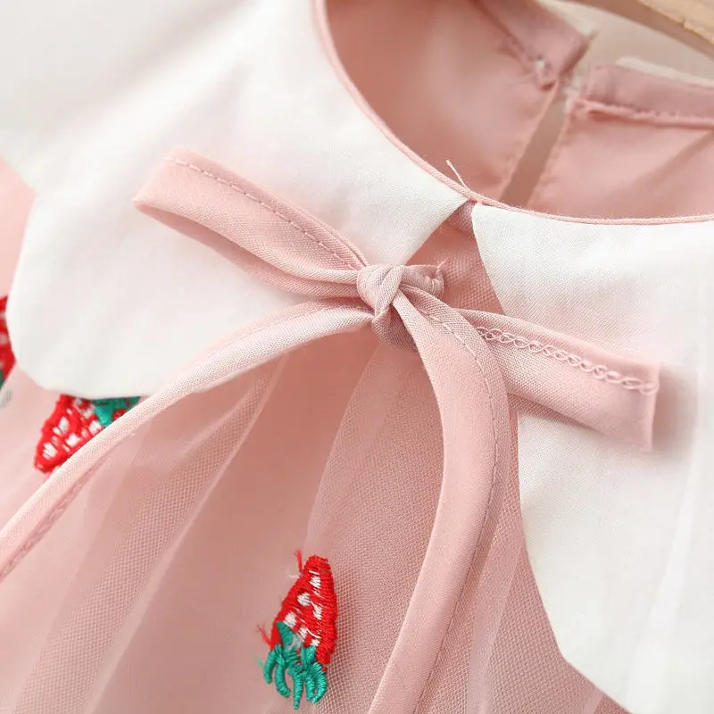Toddler Girl Summer Dresses New Sleeveless Embroidery Strawberry Print Mesh Baby Princess Loose Dress for Children's Clothing
Toddler Girl Summer Dresses New Sleeveless Embroidery Strawberry Print Mesh Baby Princess Loose Dress for Children's Clothing