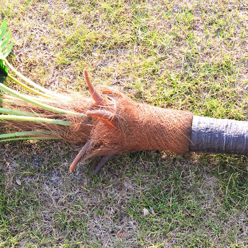 Искусственный веер для растительного дерева большой латексный длиной 1 45 м
