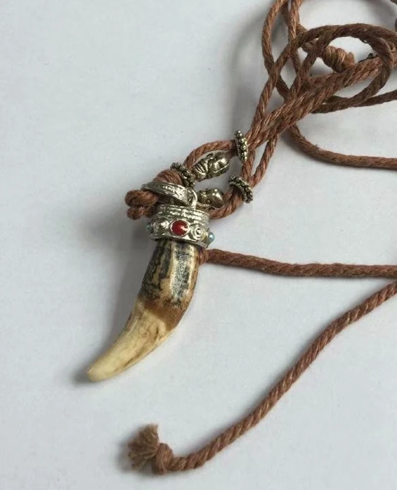 16 pcs Fashion Pendant Wolf Tooth Men's Personality Wax Rope Resin Clavicle Casual Vintage Punk
16 pcs Fashion Pendant Wolf Tooth Men's Personality Wax Rope Resin Clavicle Casual Vintage Punk