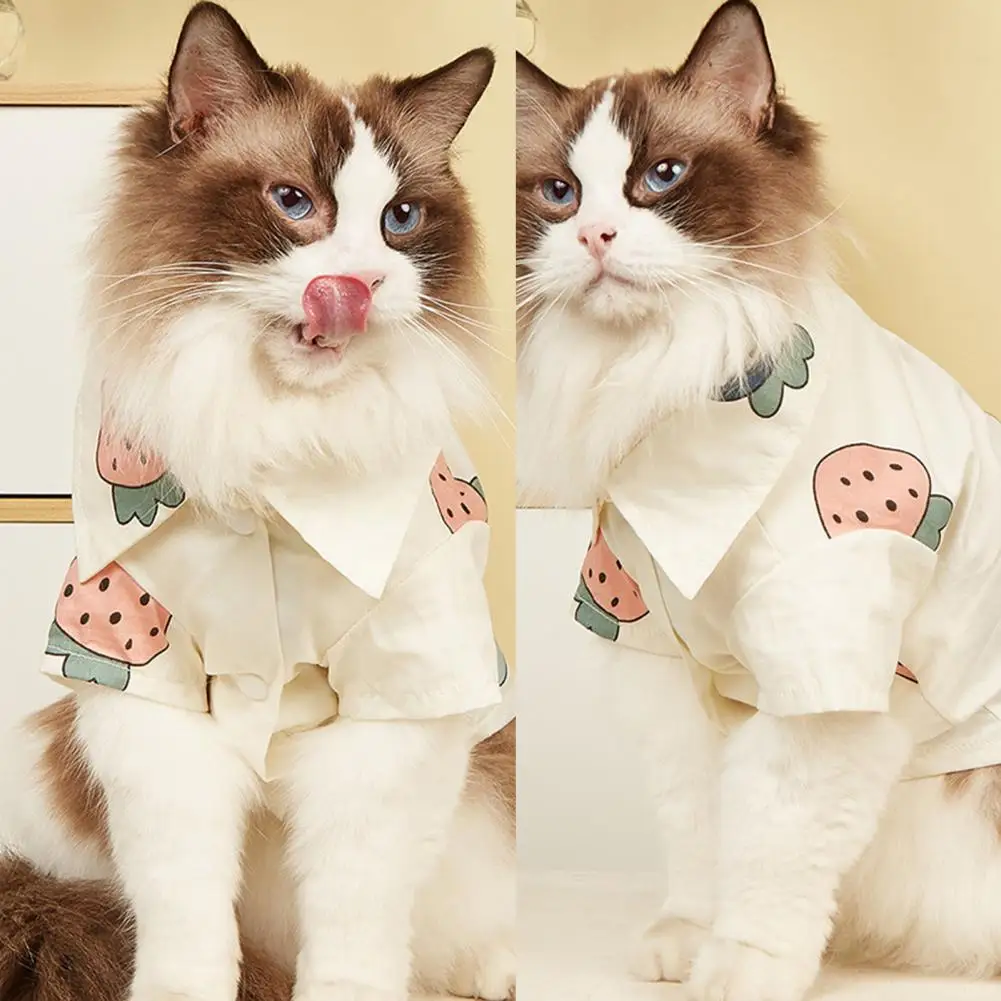 Short Sleeve Lovely Dog Stylish Cotton T-shirt Casual Pet T-shirt Elastic for Beach
Short Sleeve Lovely Dog Stylish Cotton T-shirt Casual Pet T-shirt Elastic for Beach