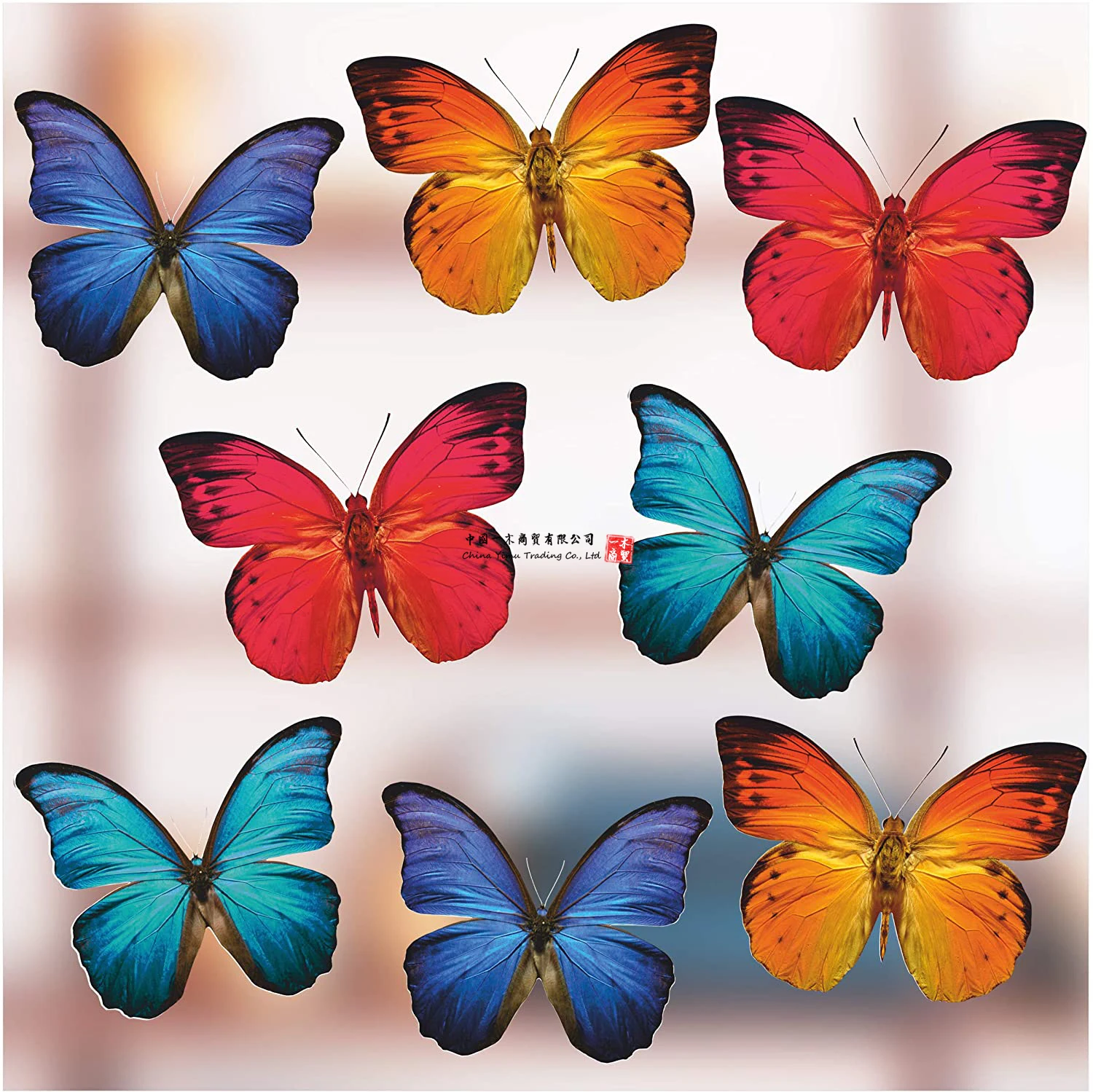 Schmetterlings-fensteraufkleber Zum Schutz Gegen Vogelschlag Schone Stickers Glasaufkleber Selbstklebend Decals
Schmetterlings-fensteraufkleber Zum Schutz Gegen Vogelschlag Schone Stickers Glasaufkleber Selbstklebend Decals