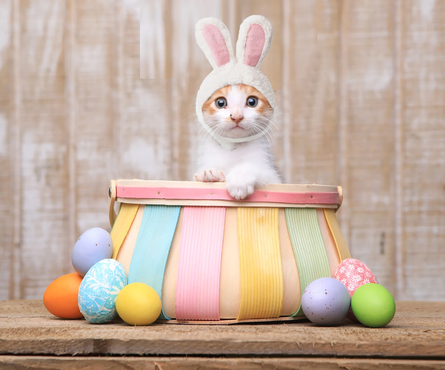 Funny Cute Cat Costume Bunny Ears Cap Rabbit Hat with Ears for Cats and Small Dogs Fashion Pets Costume Accessories Supplies
Funny Cute Cat Costume Bunny Ears Cap Rabbit Hat with Ears for Cats and Small Dogs Fashion Pets Costume Accessories Supplies