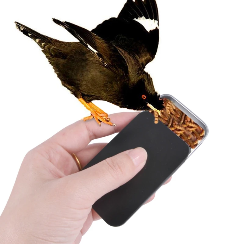 Кормушка для птиц дозатор попугаев контейнер еды рептилий червей коробка