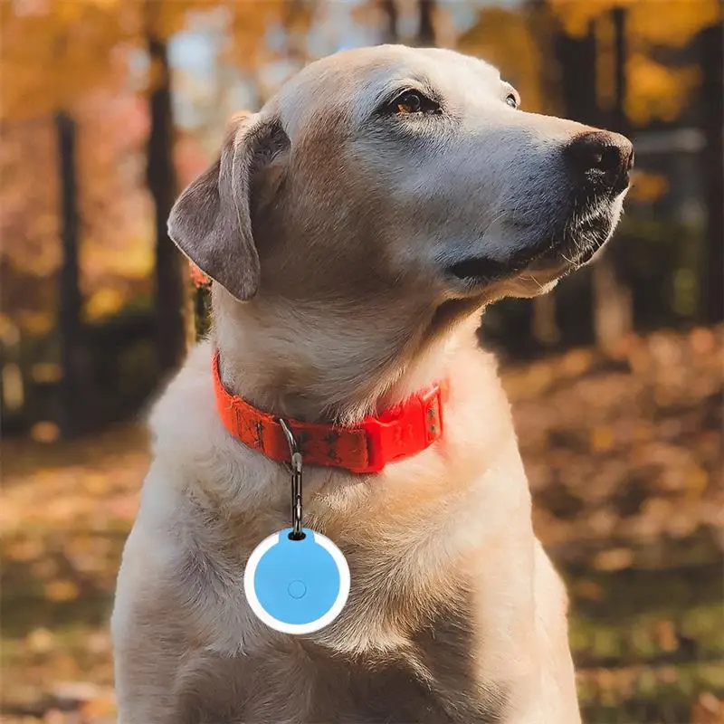 Pet Dog Tracker Round Bluetooth Tracker Intelligent Wireless Anti-Lost Device Smart Tracking Alarm Keychain For Key Wallet Pets
Pet Dog Tracker Round Bluetooth Tracker Intelligent Wireless Anti-Lost Device Smart Tracking Alarm Keychain For Key Wallet Pets